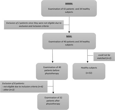 Effect of manual therapy on music students with playing-related musculoskeletal disorders: a prospective study